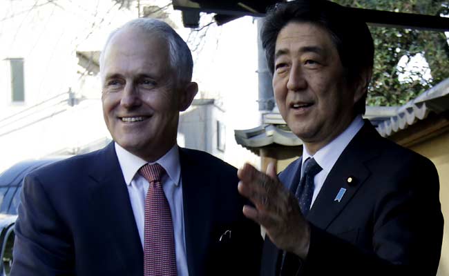 Australia ‘Disappointed’ At Japan Whaling: Malcolm Turnbull