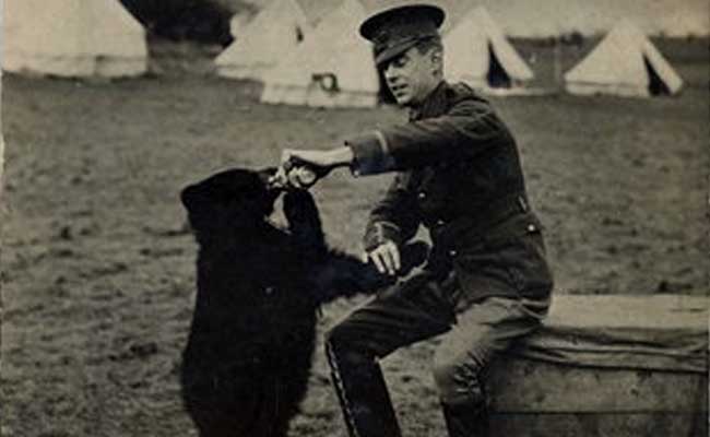 New Book Chronicles Real Bear Behind ‘Winnie-The-Pooh’