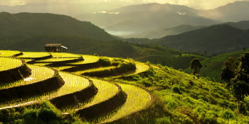 Uttarakhand govt seeks collaboration with NGOs on health, agriculture, education