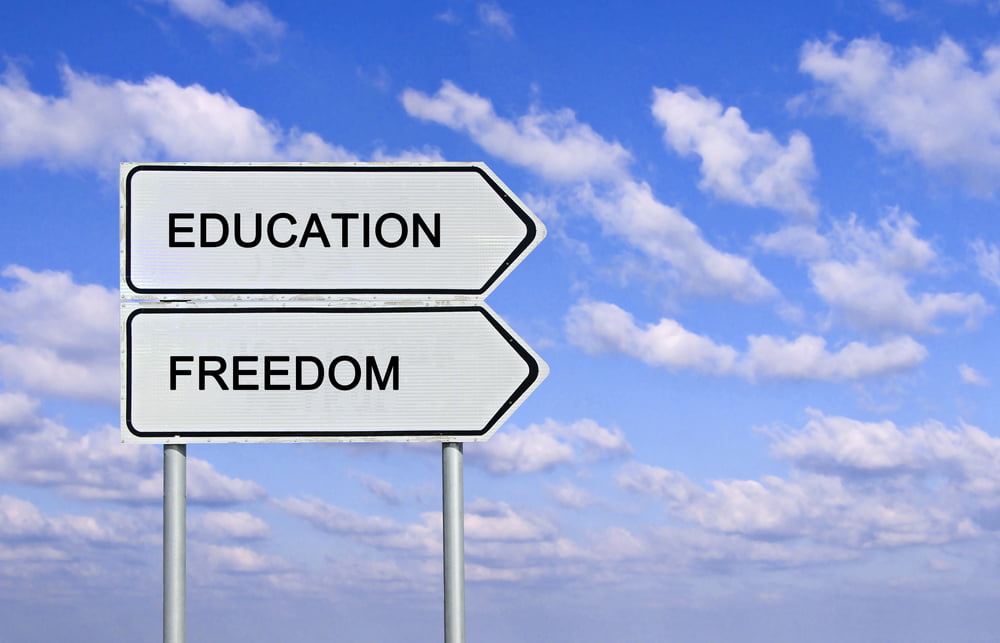 What’s the point of education?
