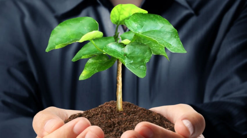 Right here are five approaches to Get Your Small enterprise venture funding
