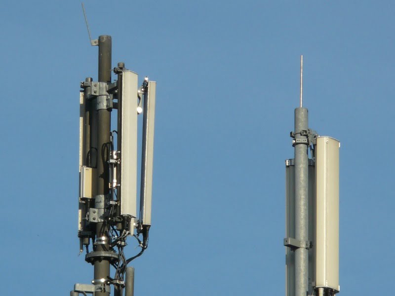 ideal court docket Seeks Centre’s response on mobile and Tower Radiation Plea