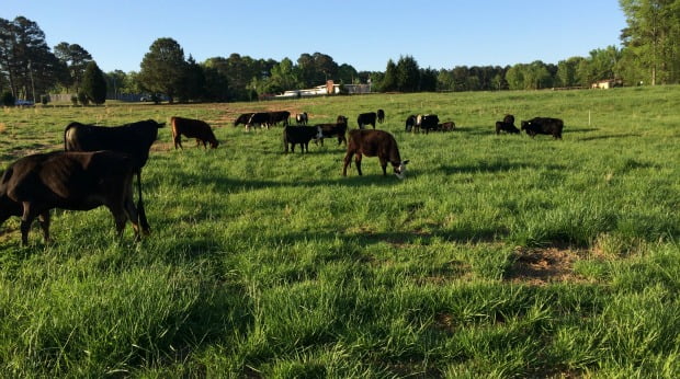 How to Use Tech Tools to Run a Small Farming Business