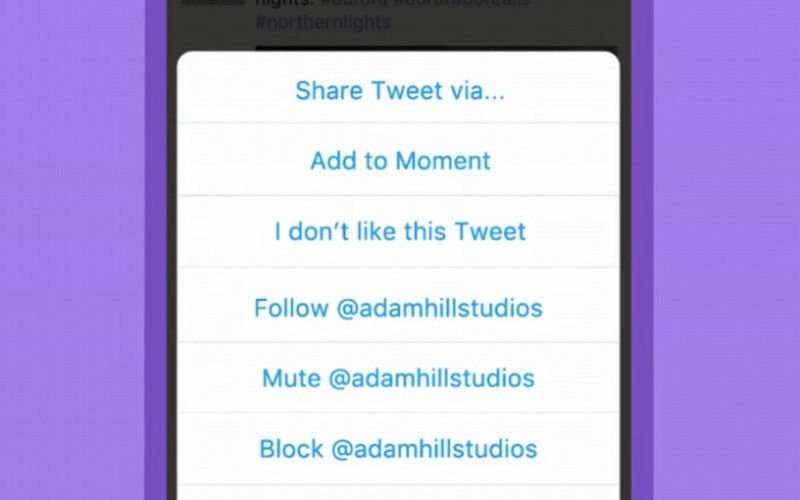 Twitter’s Moments Feature Is Now Available for Mobile Users
