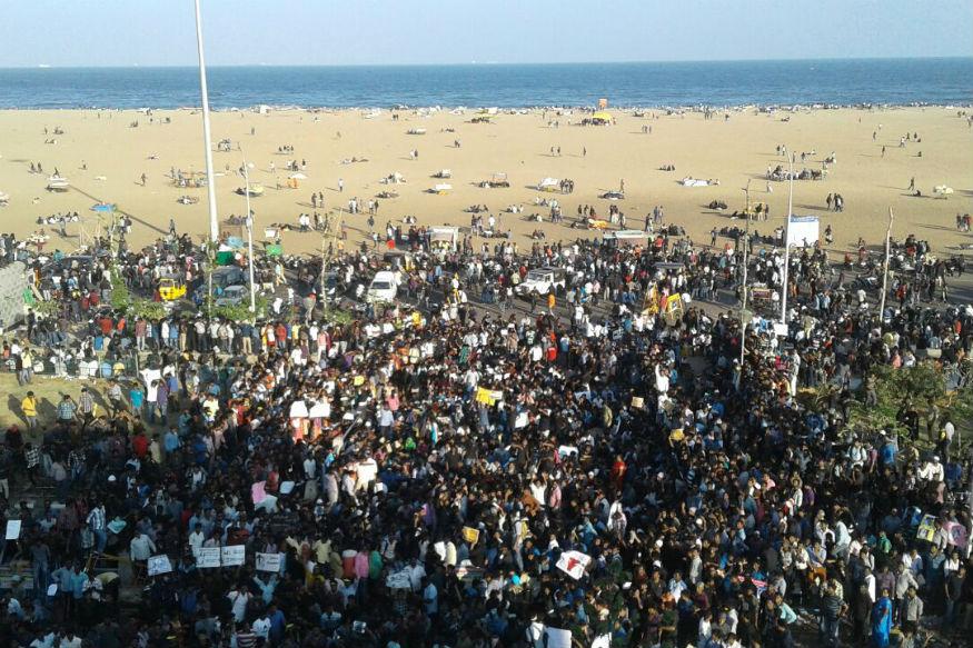 Social Media Played Key Role in Coordinating Jallikattu Stir