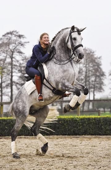 Horses are majestic animals that are as powerful as they are beautiful