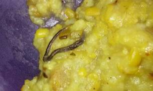 Dead baby snake found in mid-day meal in Faridabad school