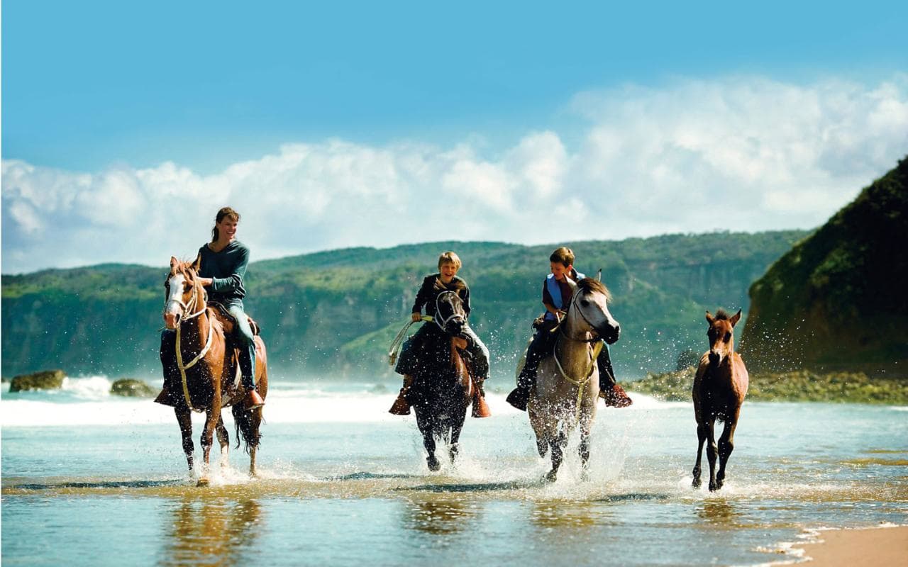 The ten items that are going to save your life in your next equine wildlife adventure