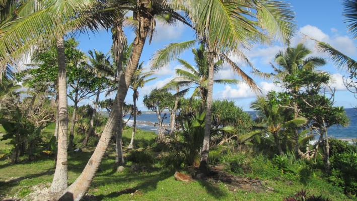 Tonga faces weeks of internet disruption