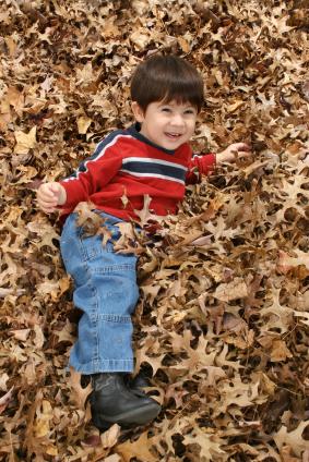 Free Toddler Race Games