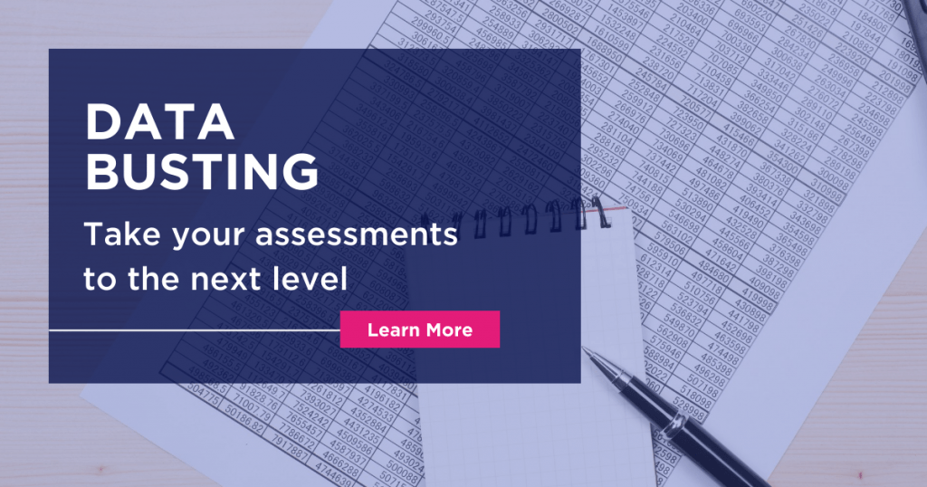 Data Busting: Take your assessments to the next level
