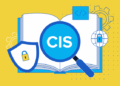CIS Safeguard 7.7: Remediate Detected Vulnerabilities
