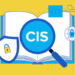 CIS Safeguard 7.7: Remediate Detected Vulnerabilities