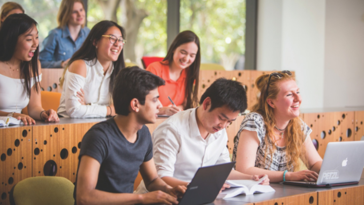 Curriculum Transformation Isn’t Four Projects—It’s a System of Change
